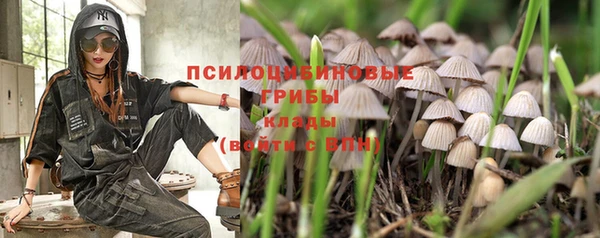 синтетический гашиш Богородицк