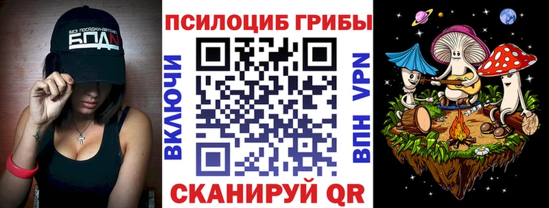 Галлюциногенные грибы MAGIC MUSHROOMS  Купить закладки  Плавск 